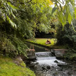 Carshalton Ponds - Sutton