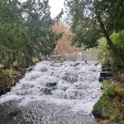 Carshalton Ponds - Sutton