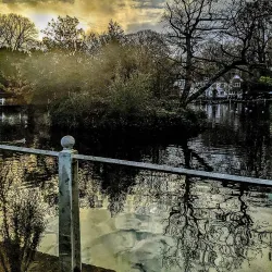 Carshalton Ponds - Sutton