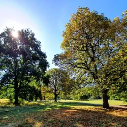 Nonsuch Park - Sutton