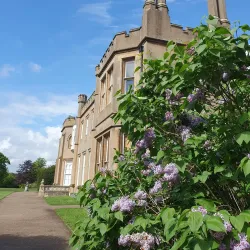 Nonsuch Park - Sutton