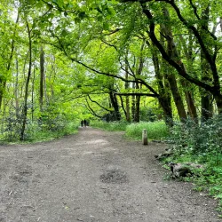 Nonsuch Park - Sutton