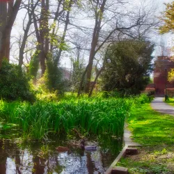 Sutton Ecology Centre - Sutton