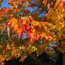 Sutton Ecology Centre - Sutton