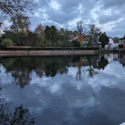 Sutton Ecology Centre - Sutton