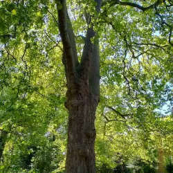 Sutton Ecology Centre - Sutton