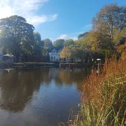 Sutton Ecology Centre - Sutton