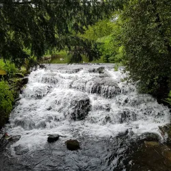 Sutton Ecology Centre - Sutton