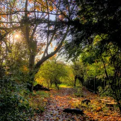 Sutton Ecology Centre - Sutton