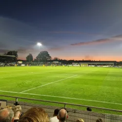 Sutton Green - Sutton