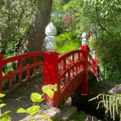 Clyne Gardens - Swansea