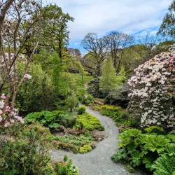 Clyne Gardens - Swansea