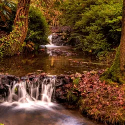 Clyne Gardens - Swansea