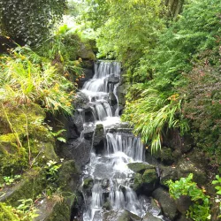 Clyne Gardens - Swansea