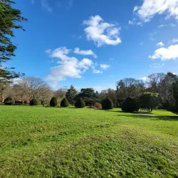 Clyne Gardens - Swansea