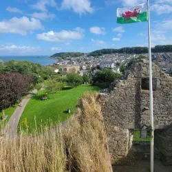 Oystermouth Castle - Swansea