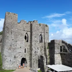 Oystermouth Castle - Swansea