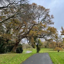 Singleton Park - Swansea