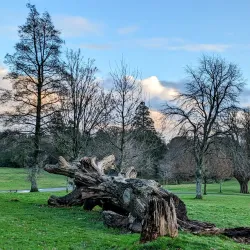 Singleton Park - Swansea