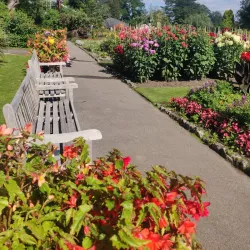 Singleton Park - Swansea