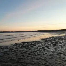 Singleton Park - Swansea