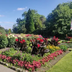 Singleton Park - Swansea