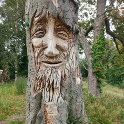 Singleton Park - Swansea