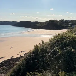 Swansea Beach - Swansea
