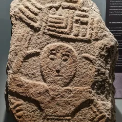 Swansea Museum - Swansea