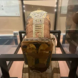 Swansea Museum - Swansea