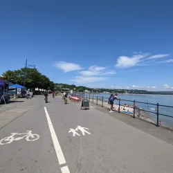 The Mumbles - Swansea