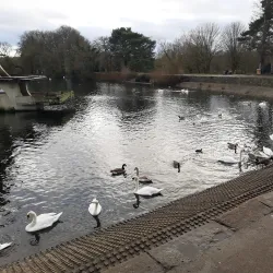 Coate Water Country Park - Swindon