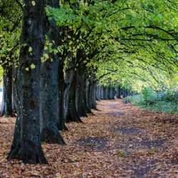Coate Water Country Park - Swindon