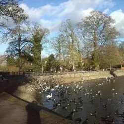 Coate Water Country Park - Swindon