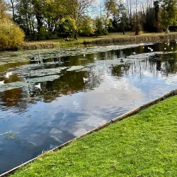 Lydiard Park - Swindon