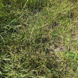 Anker Valley Park - Tamworth