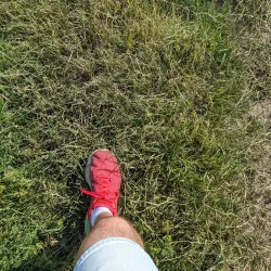 Anker Valley Park - Tamworth