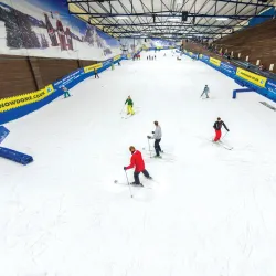 Tamworth Snowdome - Tamworth