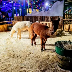 Tamworth Snowdome - Tamworth