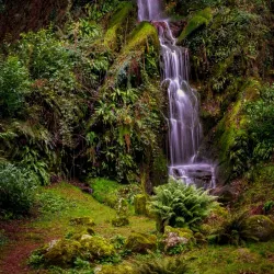 Hestercombe Gardens - Taunton