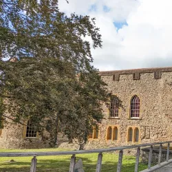 Museum of Somerset - Taunton