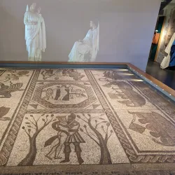 Museum of Somerset - Taunton