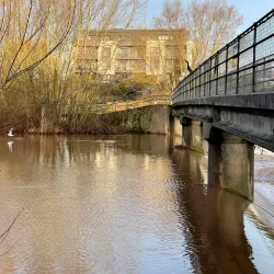 Somerset County Cricket Club - Taunton