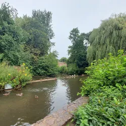 Vivary Park - Taunton