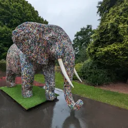 Vivary Park - Taunton