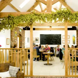 Apley Farm Park - Telford