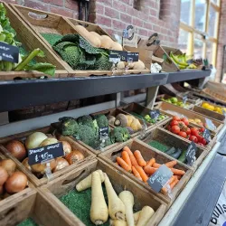 Apley Farm Park - Telford