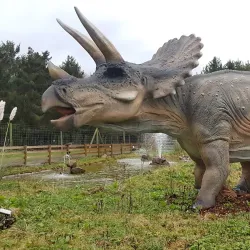 Hoo Farm Animal Kingdom - Telford