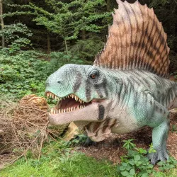 Hoo Farm Animal Kingdom - Telford