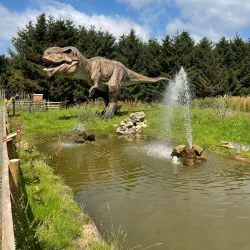 Hoo Farm Animal Kingdom - Telford